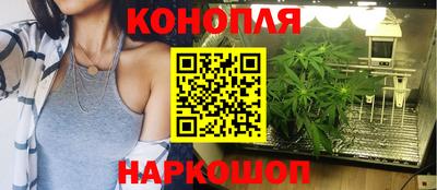 mdma Сланцы