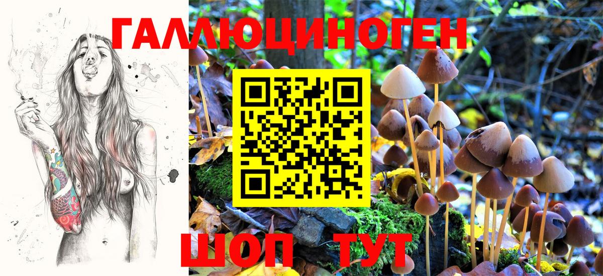 Псилоцибиновые грибы Psilocybine cubensis  Вход с VPN  где продают наркотики  Павловский Посад 