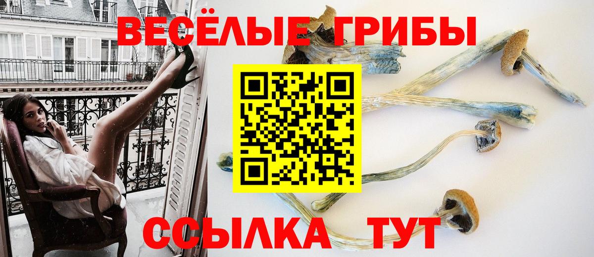 Псилоцибиновые грибы GOLDEN TEACHER Павловский Посад